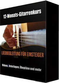 Gitarre lernen und verstehen -  Lieder auf der Gitarre begleiten